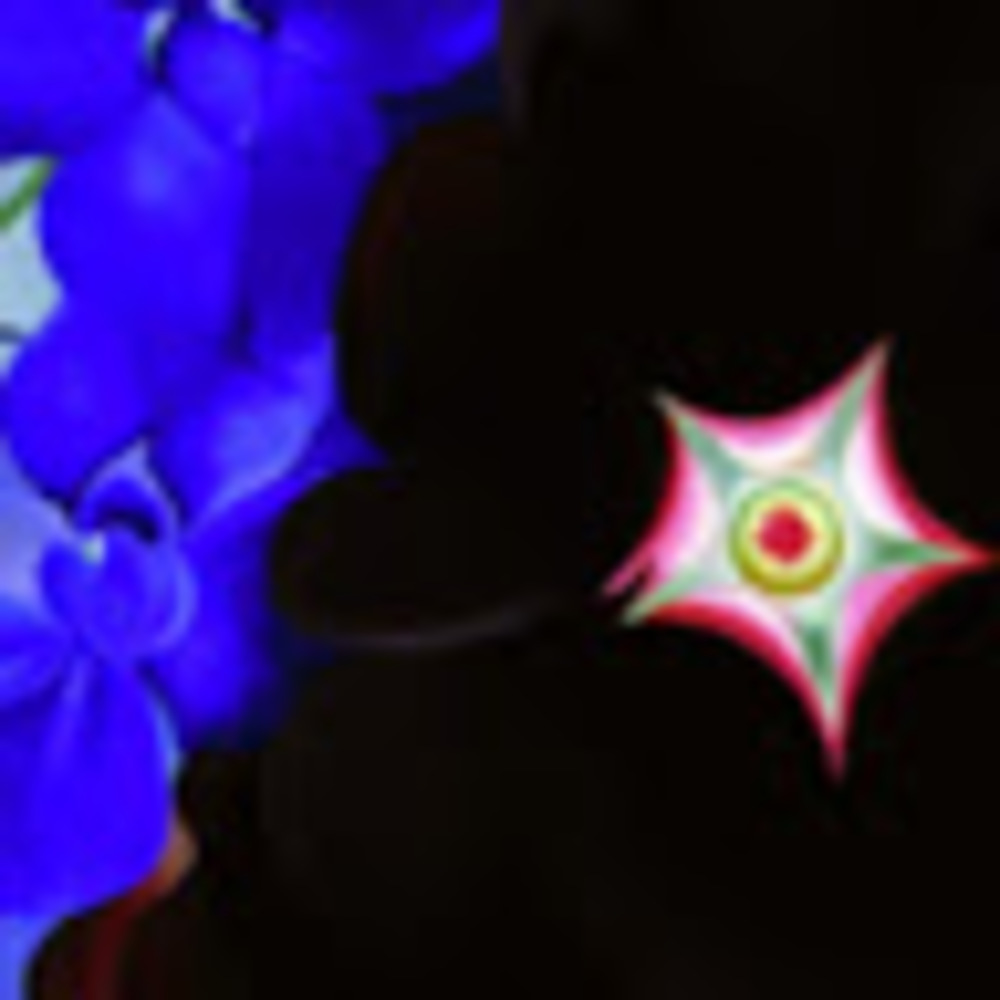 Meet your Posher, 678bumperlover